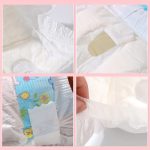 Male Dog Disposable Diaper Wraps 12s - Image 2